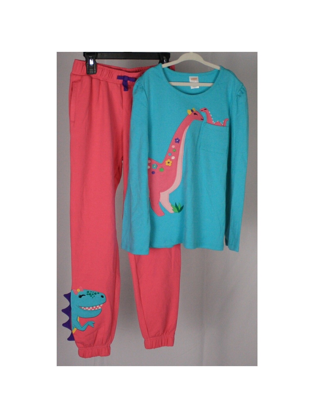 Gymboree Dinosaur Set Girls Size 10 NWT